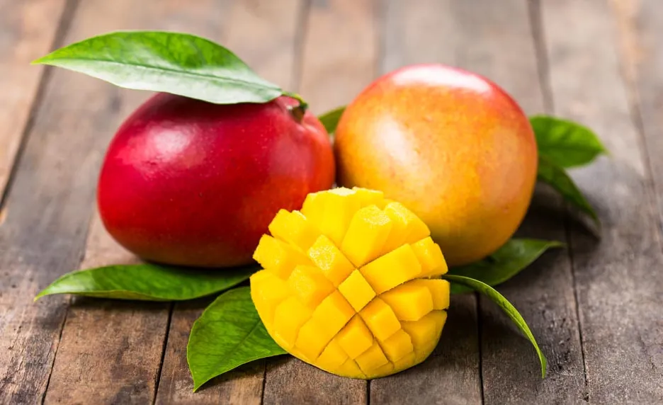 Mangue