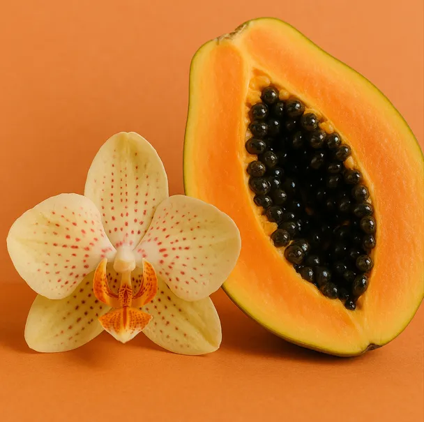 Orchid Papaya